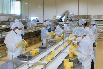 Chế biến sâu mở lối nâng tầm nông sản Việt