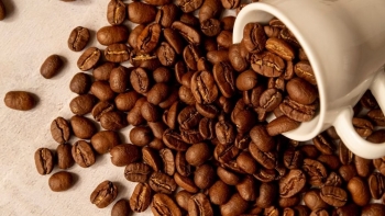 Giá cà phê hôm nay 23/7: Lao dốc không phanh, nhà đầu tư nín thở