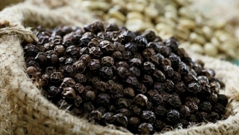 Thị trường hồ tiêu lặng sóng chờ cú hích mới, chuyên gia nhận định giá sẽ sớm tăng trở lại