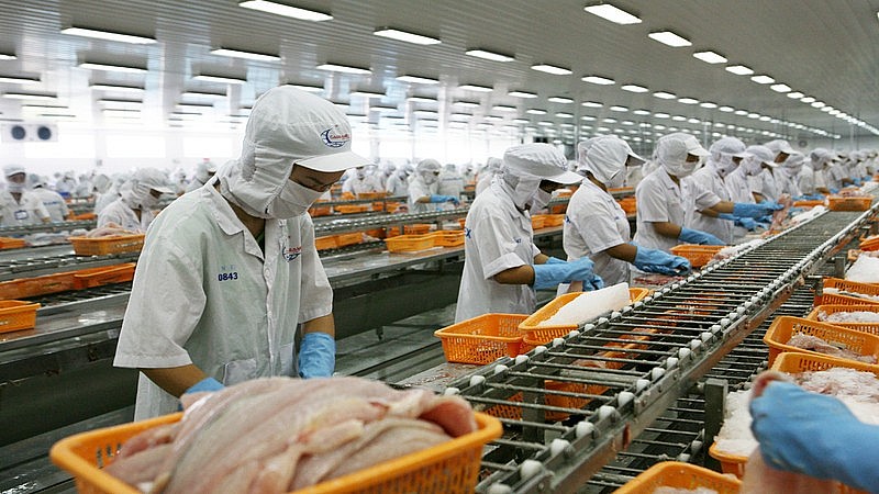 Thủy sản Việt vươn tầm: Khẳng định vị thế tại Singapore