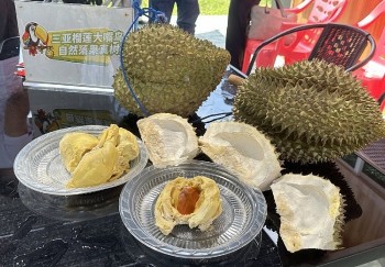 Sầu riêng Trung Quốc đắt gấp đôi hàng Thái: Vì sao vẫn hút khách?