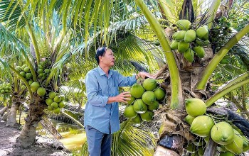 Gia nhập “câu lạc bộ tỉ đô”: Cuộc đua mới của trái cây Việt