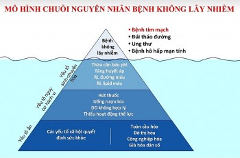 Cảnh báo “cơn sóng ngầm” bệnh không lây nhiễm đang âm thầm đang bủa vây người Việt