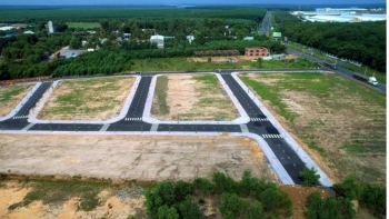 Thị trường đất nền cuối năm 2025: Cuộc thanh lọc mạnh mẽ và sân chơi mới của giá trị thật