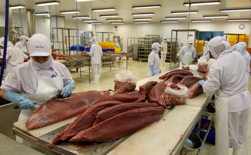 Xuất khẩu cá ngừ giảm tốc: Cảnh báo từ thực tế và chính sách