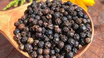 Giá tiêu hôm nay 30/7: Thị trường phân cực, nội địa vững vàng giữa 'cú sốc' xuất khẩu