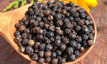 Giá tiêu hôm nay 30/7: Thị trường phân cực, nội địa vững vàng giữa 