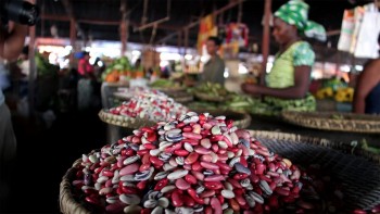 Châu Phi: “Mỏ vàng” xuất khẩu đang chờ nông sản Việt khai phá