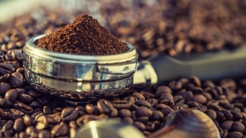 Giá cà phê ngày 31/7: Vượt 98.000 đồng/kg, thị trường nội địa “dậy sóng”