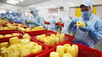 Thị trường châu Phi: Cơ hội mở cho nông sản Việt