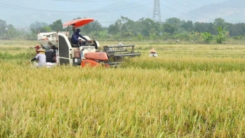 Chiến lược giảm phát thải: Chìa khóa nâng tầm nông sản Việt