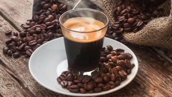 Giá cà phê 4/8: Thị trường nín thở trước ngưỡng cửa lịch sử 100.000 đồng