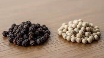 Giá tiêu hôm nay 4/8: Thị trường trong nước tăng nhẹ, kỳ vọng bứt phá vào cuối năm