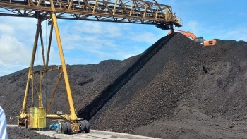 Ngành than vững đà tăng trưởng, nộp ngân sách 16.600 tỷ đồng trong 7 tháng