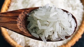 Vì sao giá gạo Việt Nam "một mình một ngựa" chiếm đỉnh bảng thế giới?
