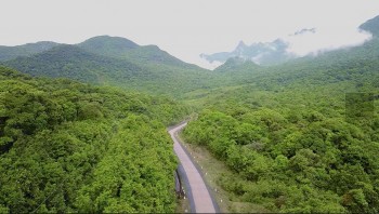 Tỉnh Quảng Trị: Nỗ lực thúc đẩy giải ngân nguồn thu từ tín chỉ carbon rừng