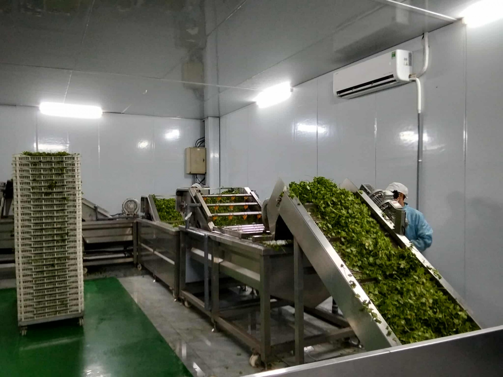 QueenFarm – Hành trình kiến tạo thương hiệu nông nghiệp sạch xứ Thanh