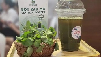 QueenFarm – Hành trình kiến tạo thương hiệu nông nghiệp sạch xứ Thanh