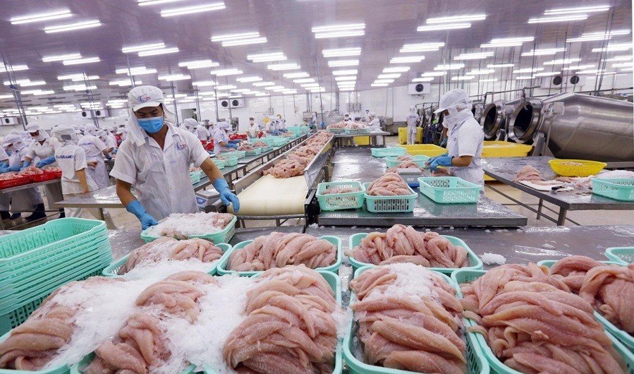 Trung Quốc vượt Mỹ, trở thị trường nhập khẩu thủy sản lớn nhất của Việt Nam Trung Quốc vượt Mỹ, trở thị trường nhập khẩu thủy sản lớn nhất của Việt Nam