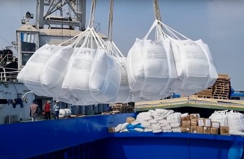 Xuất khẩu gạo tăng 3,1% về lượng nhưng "bốc hơi" gần 16% giá trị: Nguyên nhân do đâu?