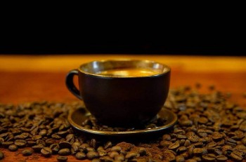 Giá cà phê hôm nay 9/8: Tăng mạnh, lập đỉnh mới trong nước – Quốc tế bứt phá ấn tượng