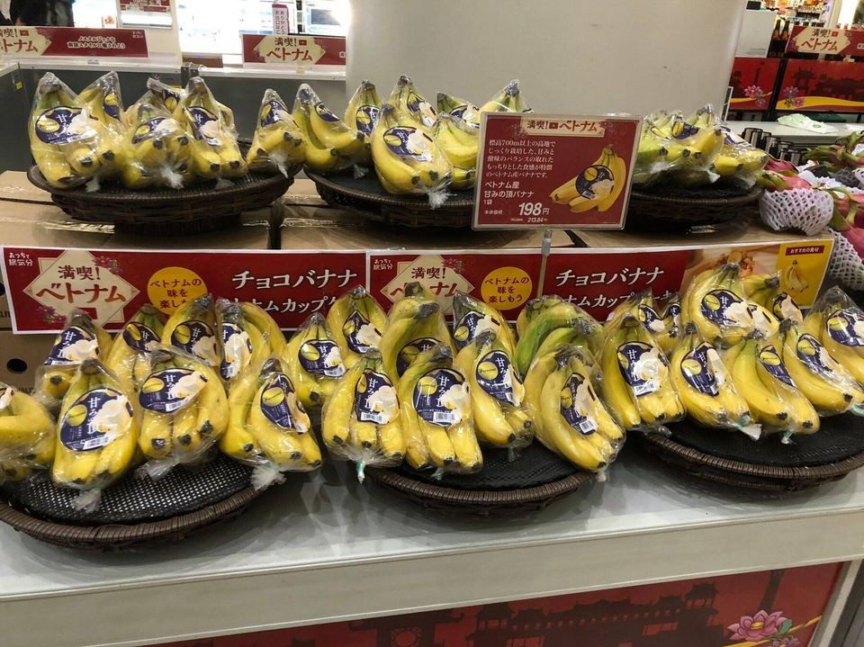 Chuối Việt Nam đang mở rộng thị phần tại Nhật Bản