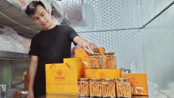 Đông trùng hạ thảo Minh Trường và khát vọng nâng tầm dược liệu xứ Thanh