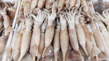 Mực, bạch tuộc Việt Nam “hút khách” ở thị trường Thái Lan