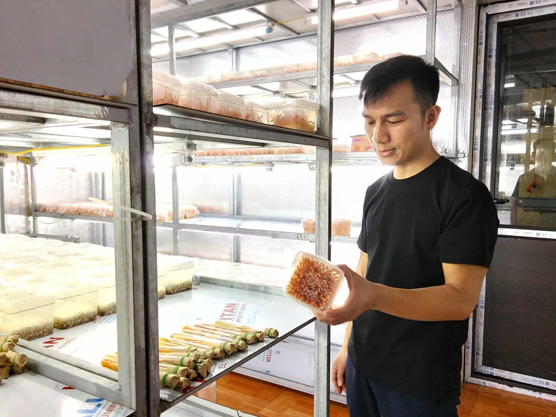 Đông trùng hạ thảo Minh Trường – Hành trình mang tới thương hiệu dược liệu sạch xứ Thanh