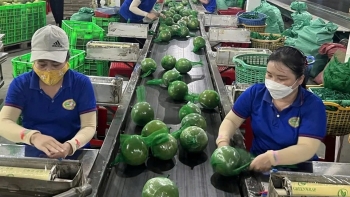 Nông sản Việt bứt phá gần 40 tỷ USD: Liệu có về đích 65 tỷ USD năm 2025?