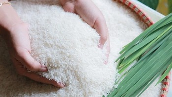 Định vị thương hiệu gạo Việt: Thoát khỏi cuộc đua về giá, kiến tạo 