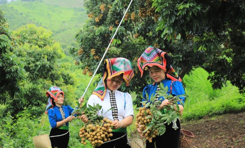 Hợp tác xã điện tử – Bước tiến số cho kinh tế tập thể Hợp tác xã điện tử – Bước tiến số cho kinh tế tập thể