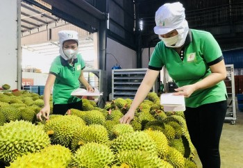 Thị trường Trung Quốc chi gần 55.000 tỷ cho rau quả Việt