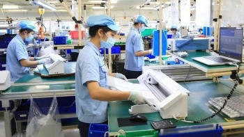 Từ hiệp định thương mại đến bảo hiểm rủi ro: Đòn bẩy mở cửa thị trường mới