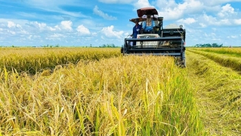 Giảm phát thải nông nghiệp và nâng sức cạnh tranh nông sản Việt