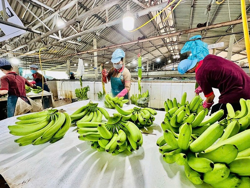 Giảm phát thải nông nghiệp – Nâng sức cạnh tranh nông sản Việt