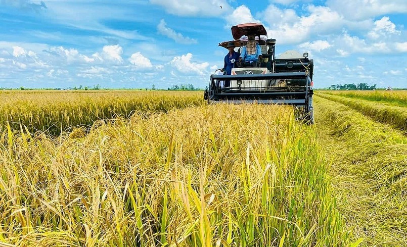 Chuyển đổi trồng trọt giảm phát thải hướng tới 2050