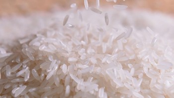 Philippines tạm ngưng nhập gạo: Xuất khẩu Việt Nam rơi vào thế khó