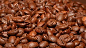 Giá cà phê hôm nay 17/8: Đắk Lắk, Lâm Đồng đồng loạt chạm mốc cao kỷ lục