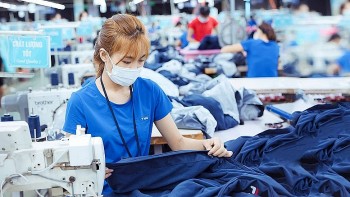 Vượt bão thuế quan bằng sức mạnh thương hiệu: Tái định vị hàng Việt tại thị trường Mỹ