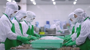 Doanh nghiệp Việt thích ứng chính sách thuế mới của Mỹ