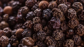 Giá hồ tiêu hôm nay 19/8: Thị trường đi ngang, tín hiệu lạc quan từ xuất khẩu sang Mỹ