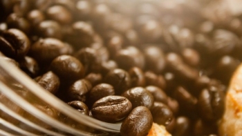Giá cà phê hôm nay 21/8: Tăng phi mã vượt 121.000 đồng/kg, thị trường thế giới "dậy sóng"