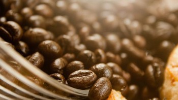 Giá cà phê hôm nay 21/8: Tăng phi mã vượt 121.000 đồng/kg, thị trường thế giới 