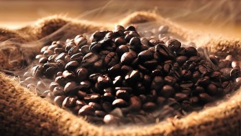 Giá cà phê hôm nay 22/8: Vượt mốc lịch sử 123.200 đồng/kg, thị trường "nín thở"