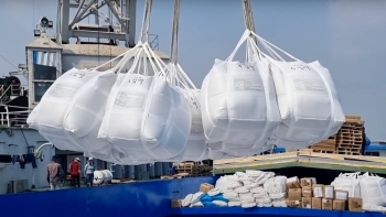 Xuất khẩu gạo Việt Nam: Từ kỷ lục sản lượng đến thách thức giá trị