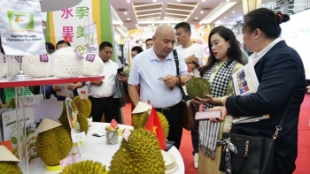 Trái cây Việt vào Trung Quốc nhờ chính ngạch và chất lượng