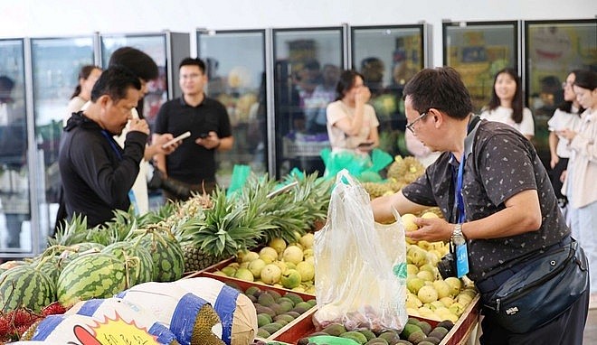 Trái cây Việt vào Trung Quốc nhờ chính ngạch và chất lượng