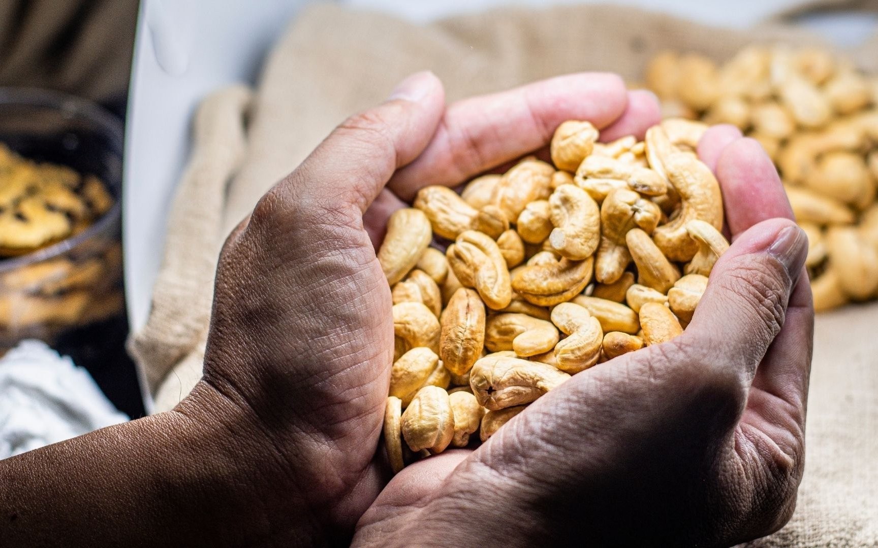 Hạt tiêu, hạt điều Việt Nam khẳng định vị thế “tỷ đô” trên bản đồ nông sản thế giới