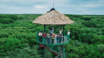 Chuyển đổi số và xanh hóa: Chìa khóa vàng dẫn lối du lịch bền vững